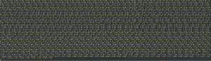 esxtop displaying incorrect