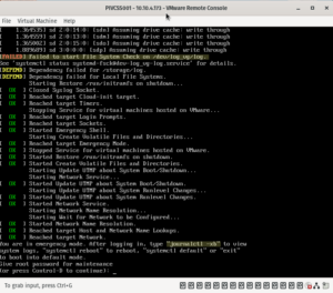 Failed to check /dev/log_vg/log