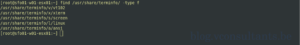 terminfo_values